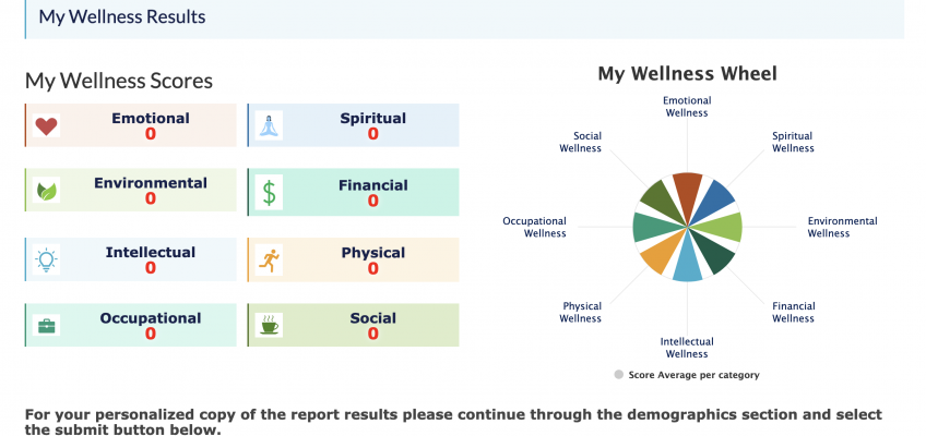 A visualization of the Wellness Wheel results showing scores for each category.
